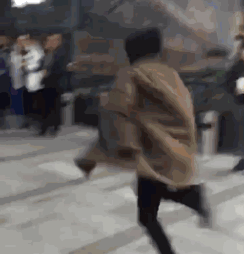壁纸 动物 狗 狗狗 500_520 gif 动态图 动图