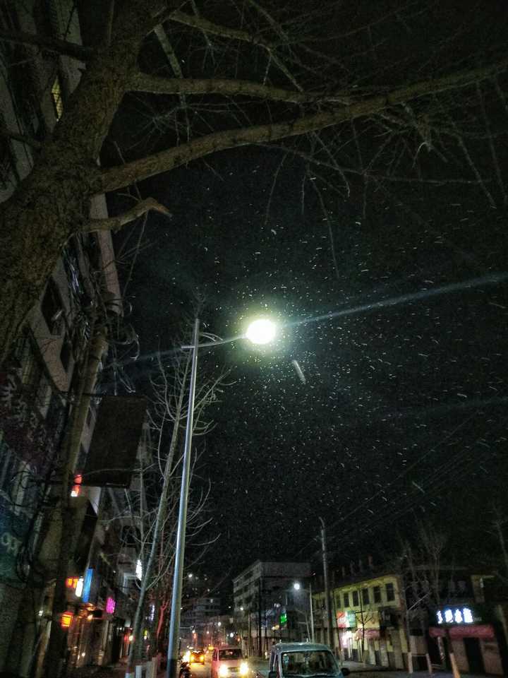 你的城市下雪了吗,可以用视频分享雪天可以做的有趣事情或者雪景吗?