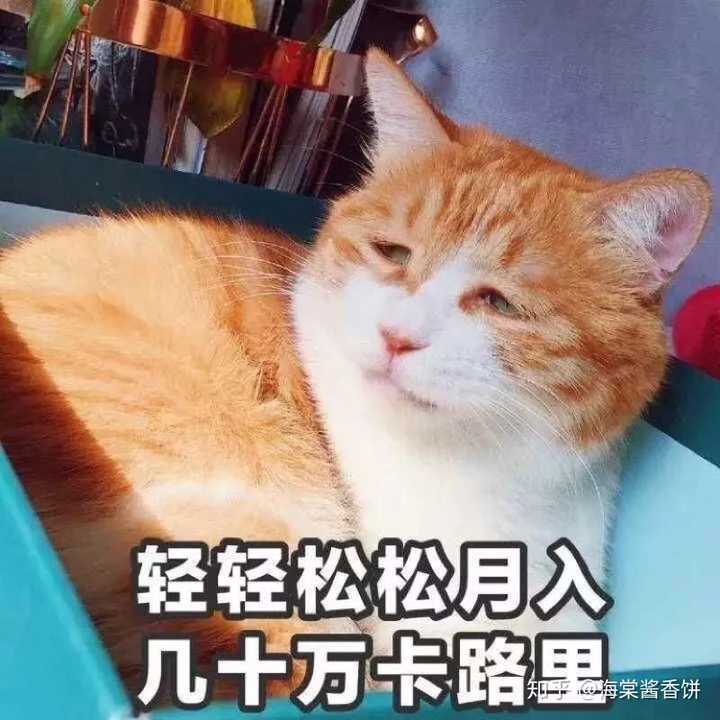 单身一个人在家很无聊怎么办?