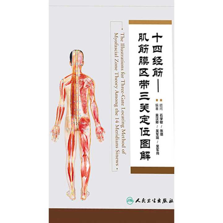 定点创新的特点,将传统中医十四经筋与肌筋膜动力区带,骨突动静筋结点