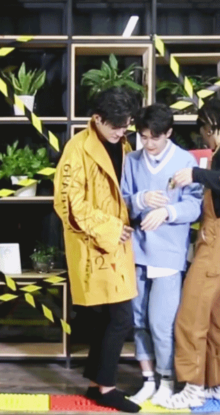 接下来是动图 流量党慎重 火宣在玩小栎的帽子 被群丰看到了 实名心疼