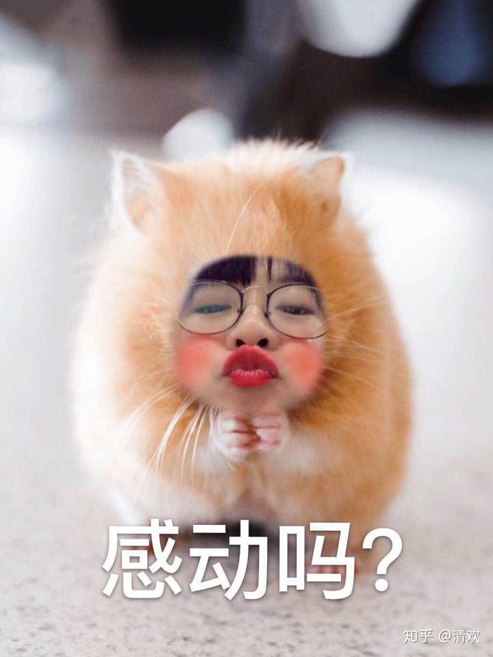 有哪些好看的情侣头像?
