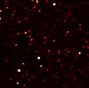 evryscope探测到的一次比邻星的超级耀斑爆发;图片来自于evryscope