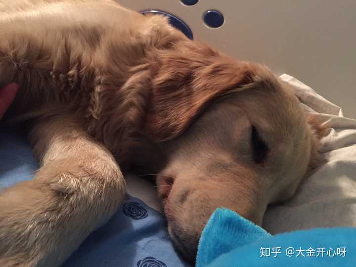这个是大冬天偷偷一点一点的潜伏到我的床上 并且暗中观察我有没有