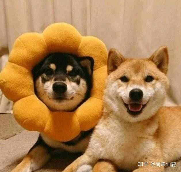 有没有什么好看的闺蜜头像,求( . )?