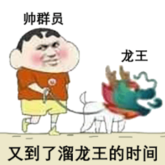 求qq龙王表情包