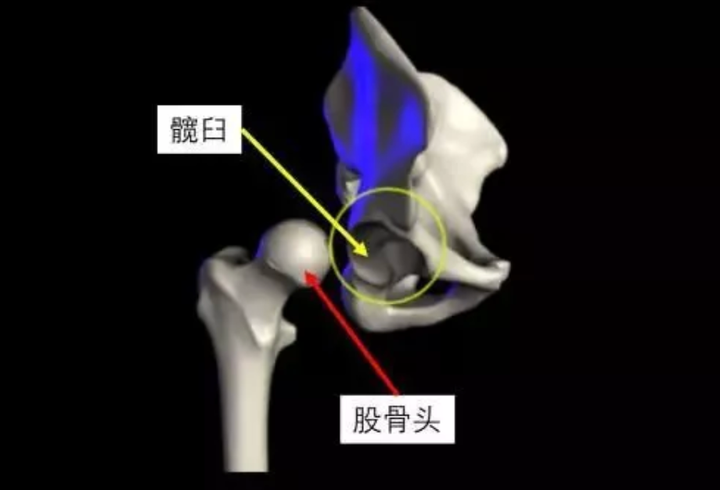 然而,每个人天生的身体结构就不同, 不同的身体结构,在完成同一个