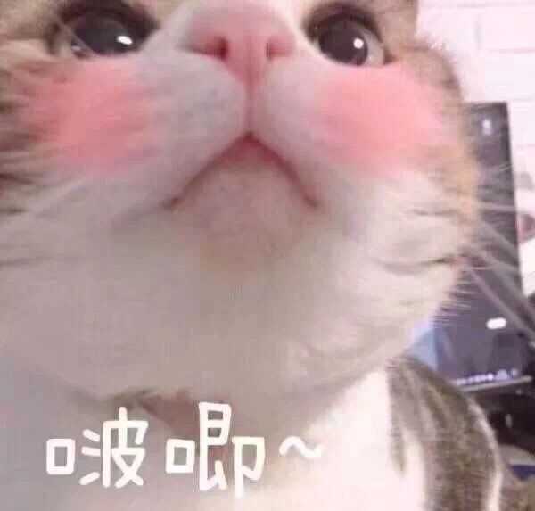 有什么适用于和老公/男票撒娇的可爱表情包?