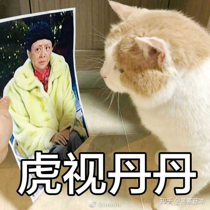 有没有什么让全场震惊的沙雕表情包?