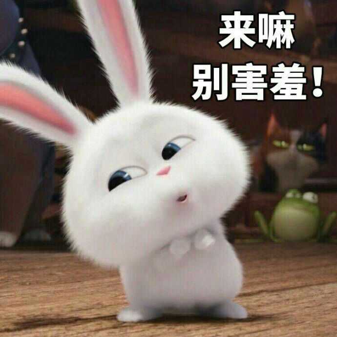 来波萌哒哒效果超过搞笑的