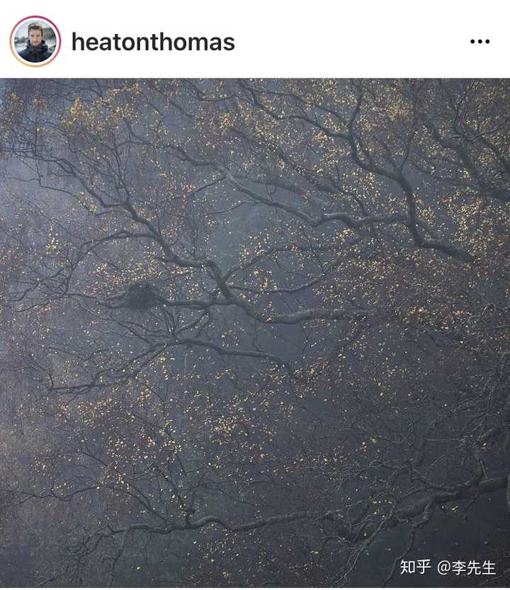 如何评价thomasheaton的照片风格