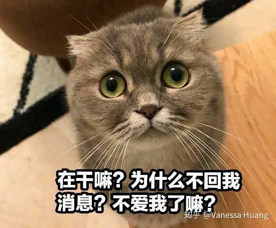 男生老是用可爱的表情包,女生会怎么想?