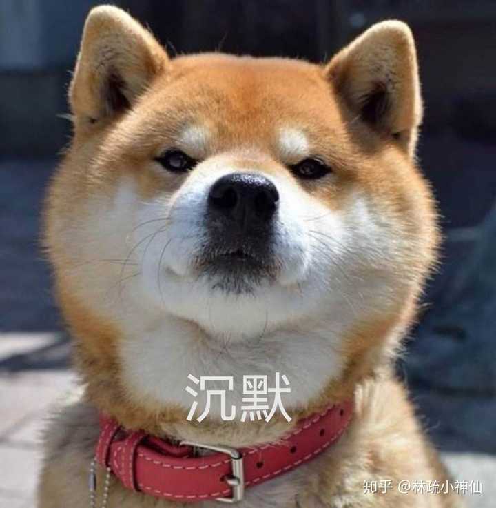 这不是废话吗