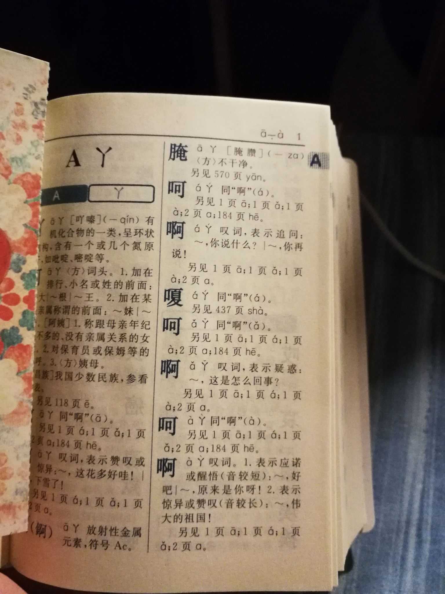 新华字典第一页有毒啊