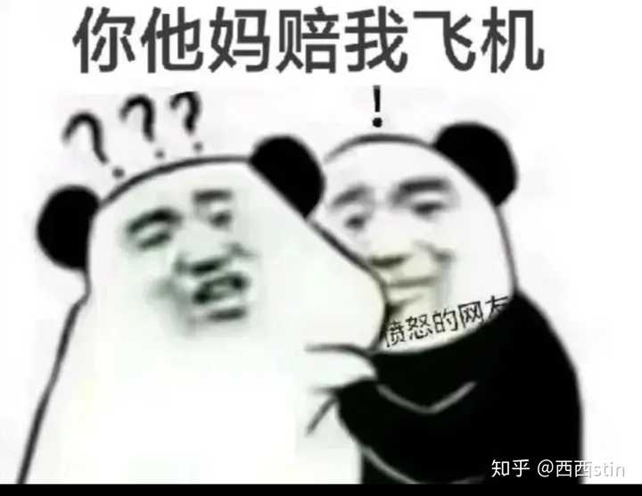 有没有拿着个飞机呼呼呼的熊猫表情包?