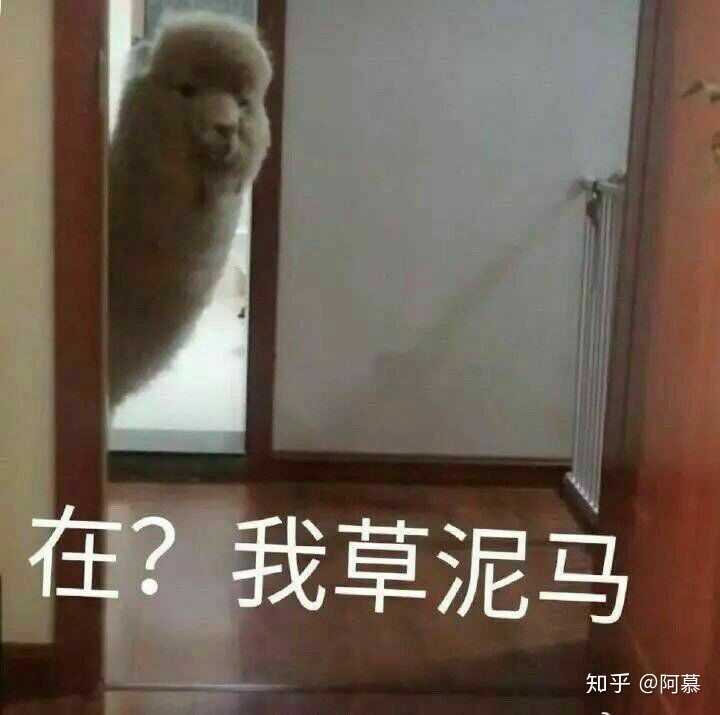 有兄弟有沙雕头像嘛?