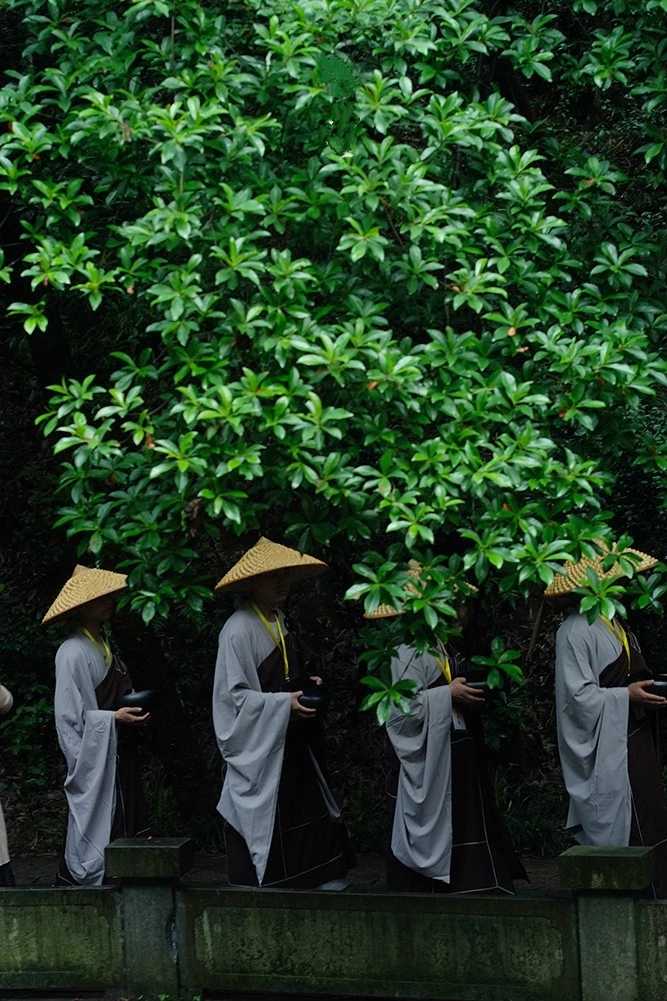 你看过哪些非常有意境的图片?