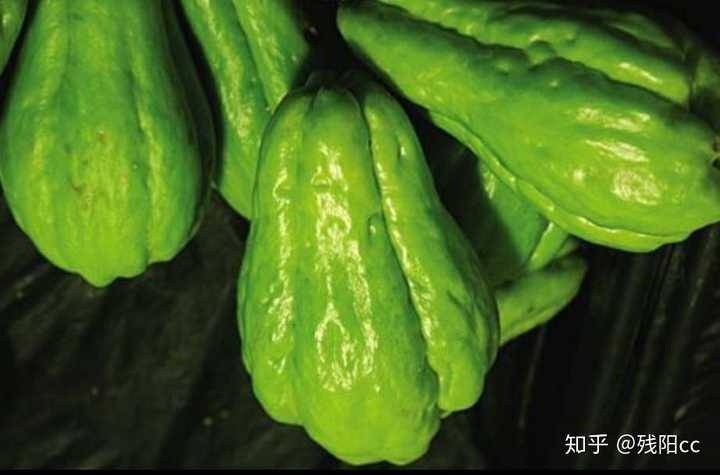 植物大战僵尸窝瓜(squash)在现实中到底是佛手瓜,西葫芦,还是南瓜?