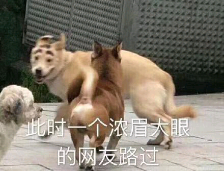 有哪些沙雕表情包?