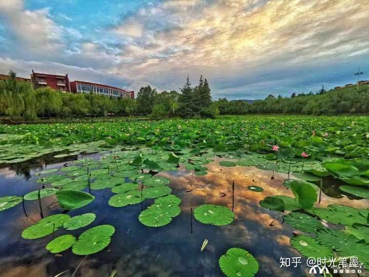 山东科技大学的景色到底有多美?