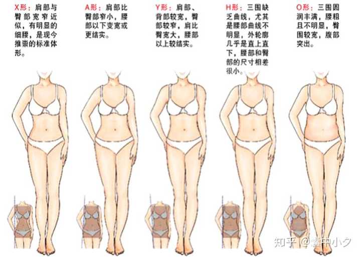 在确定完这些问题之后,日常穿搭和妆容, 就按照自己的身体特点来进行