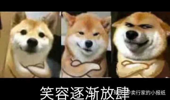 狗狗的样子