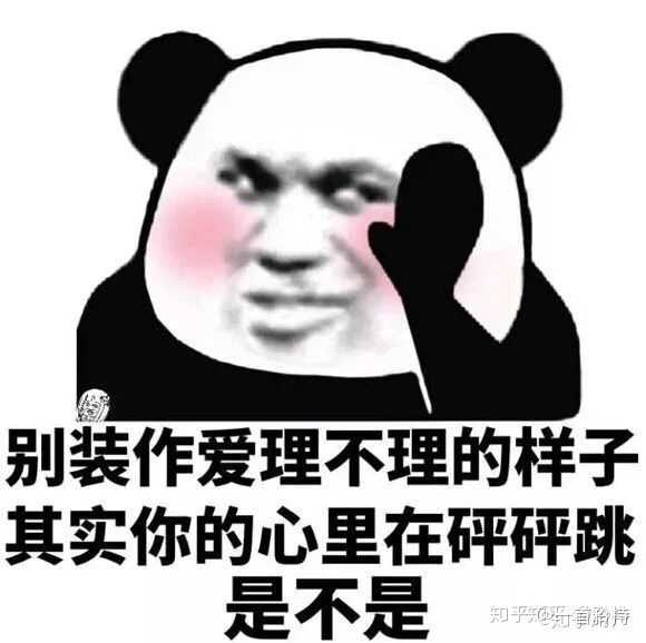 有没有一个万能表情包可以回复所有问题?