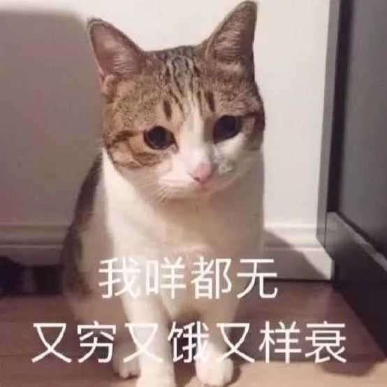 生活艰辛骗同情表情包