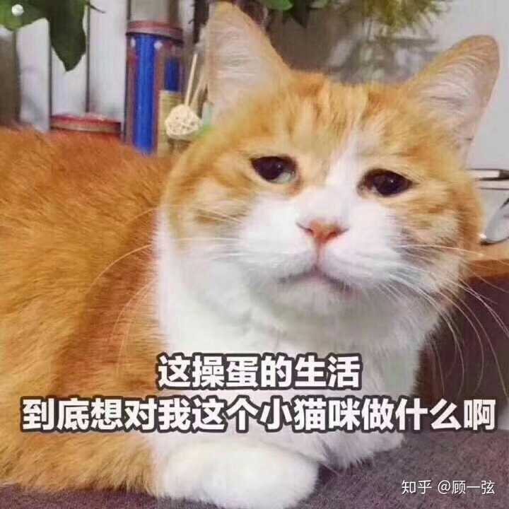 然后,到了打卡三连的时候,我发现mq的歌换了【早干嘛去了.