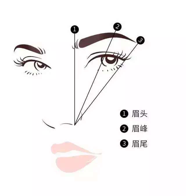 眉毛怎么修 眉形呢?