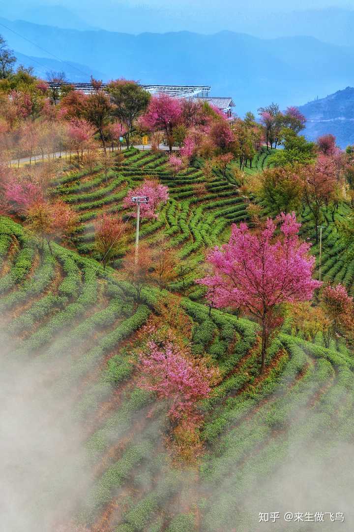 有哪些不经意拍出的惊艳照片?