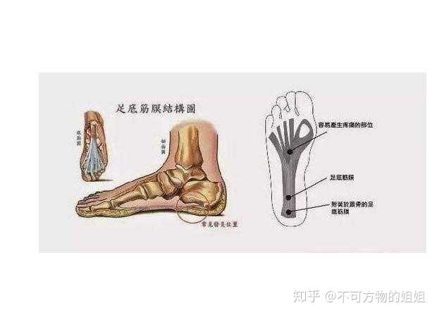 久站或运动后引起的足跟疼痛,可在足跟部冰敷10分钟～15分钟.