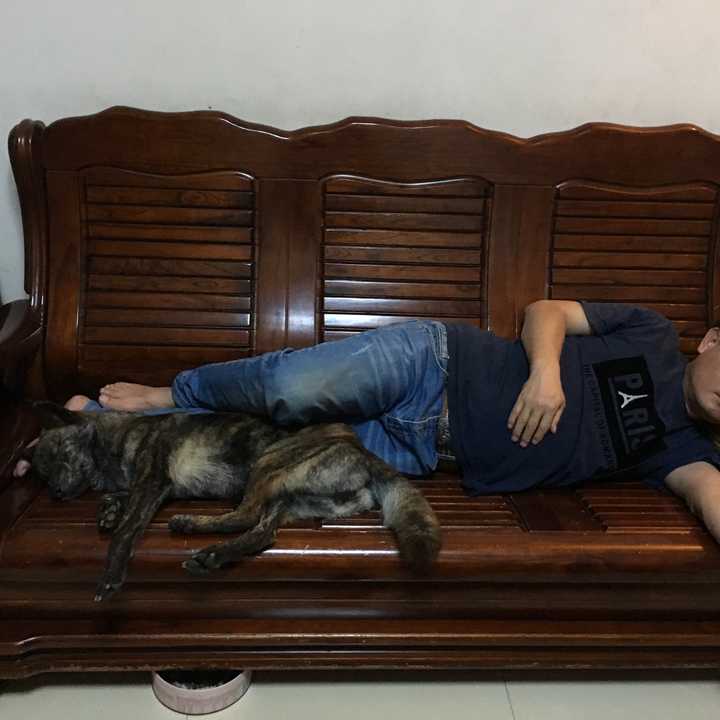 自己在沙发上睡觉,抱着我爸的枕头