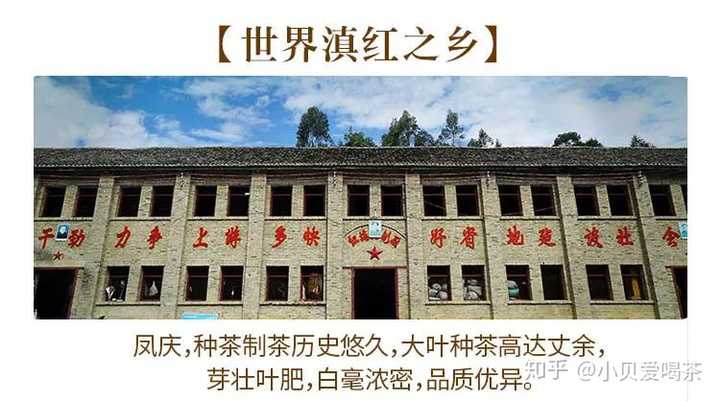 来自滇红之乡-云南凤庆的大摆田红颜,小贝简直要一生推.why?