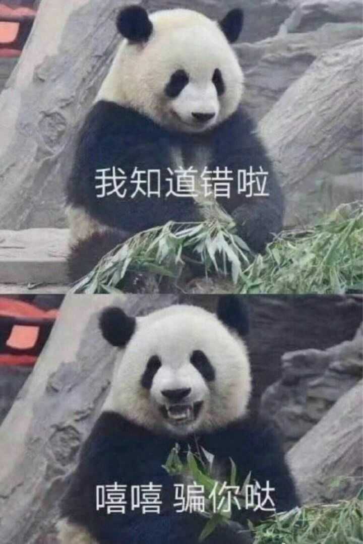有哪些让人笑到肚子疼的搞笑图片?