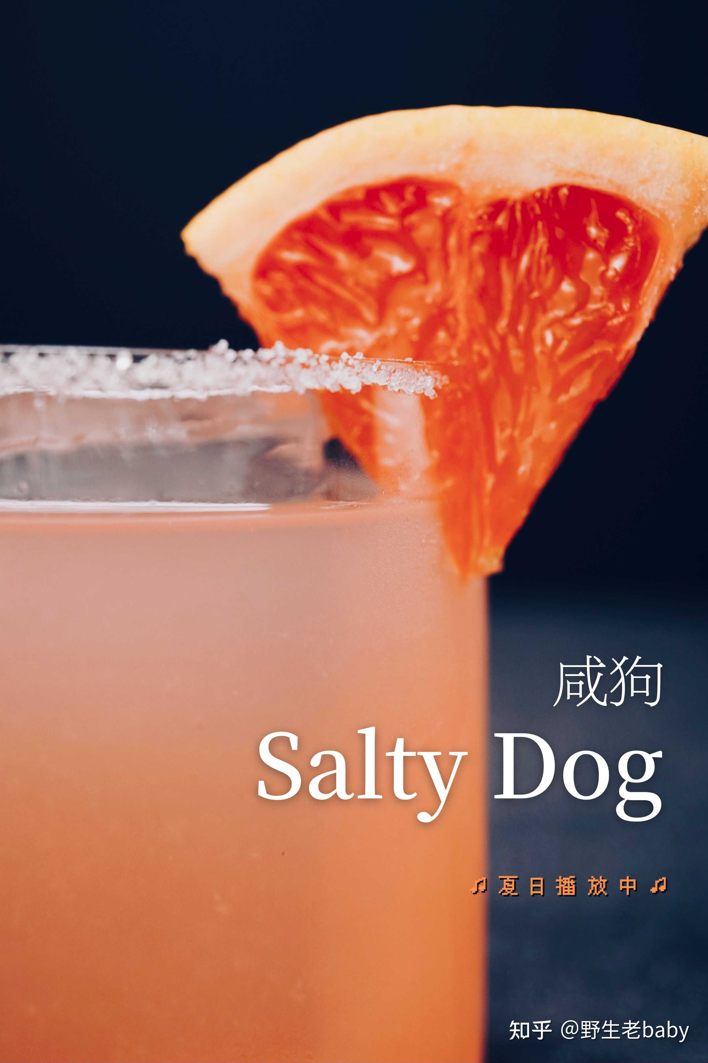 野生老baby 的想法: 今日预告:咸狗|salty dog,「咸狗」最初… - 知乎