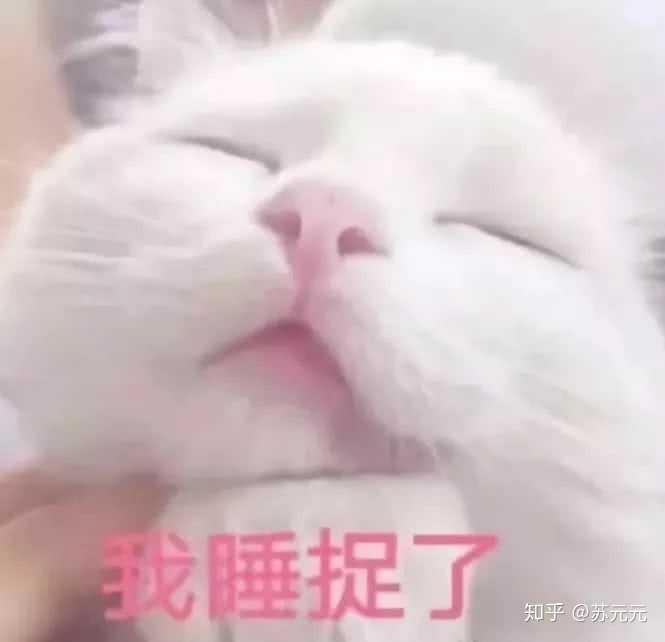 有没有适合和心上人聊天发的表情包鸭,那种可爱一点的