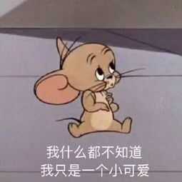 被问问题可用