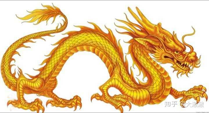 龙有两根 知乎