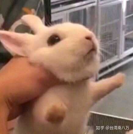 被命运扼住喉咙