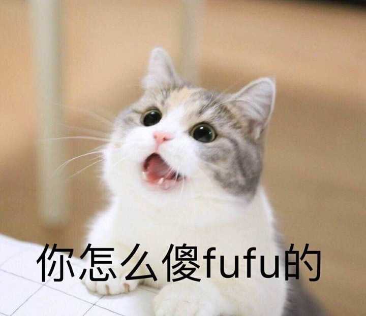 对了,还要用可爱的小猫表情包 加油吧少年!