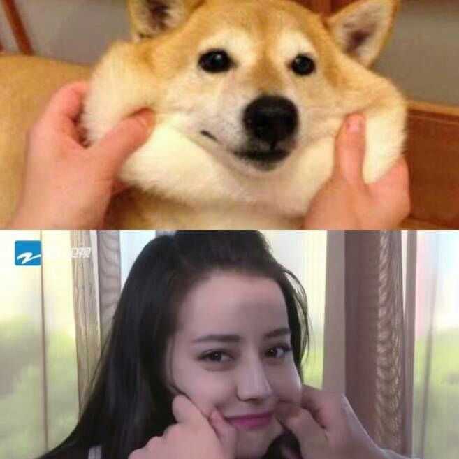 你最喜欢哪一张迪丽热巴的表情包?