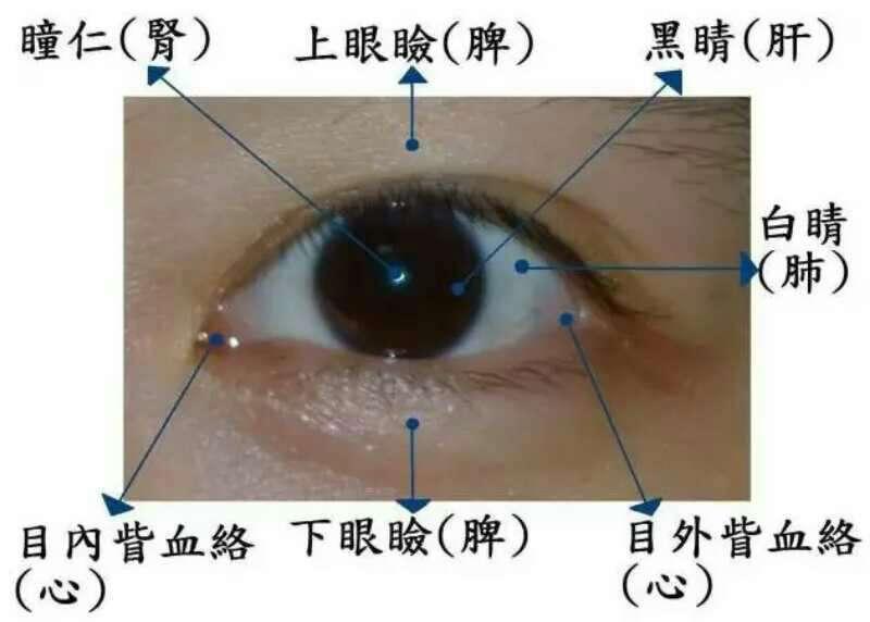 眼睛黄是:肝炎,肝不好