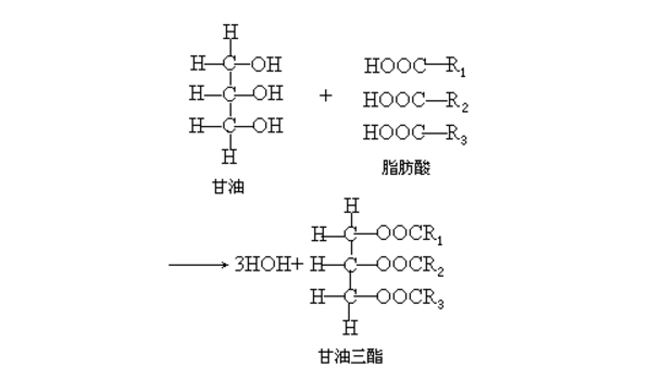 正在备孕,有什么过来人的经验可以分享吗?