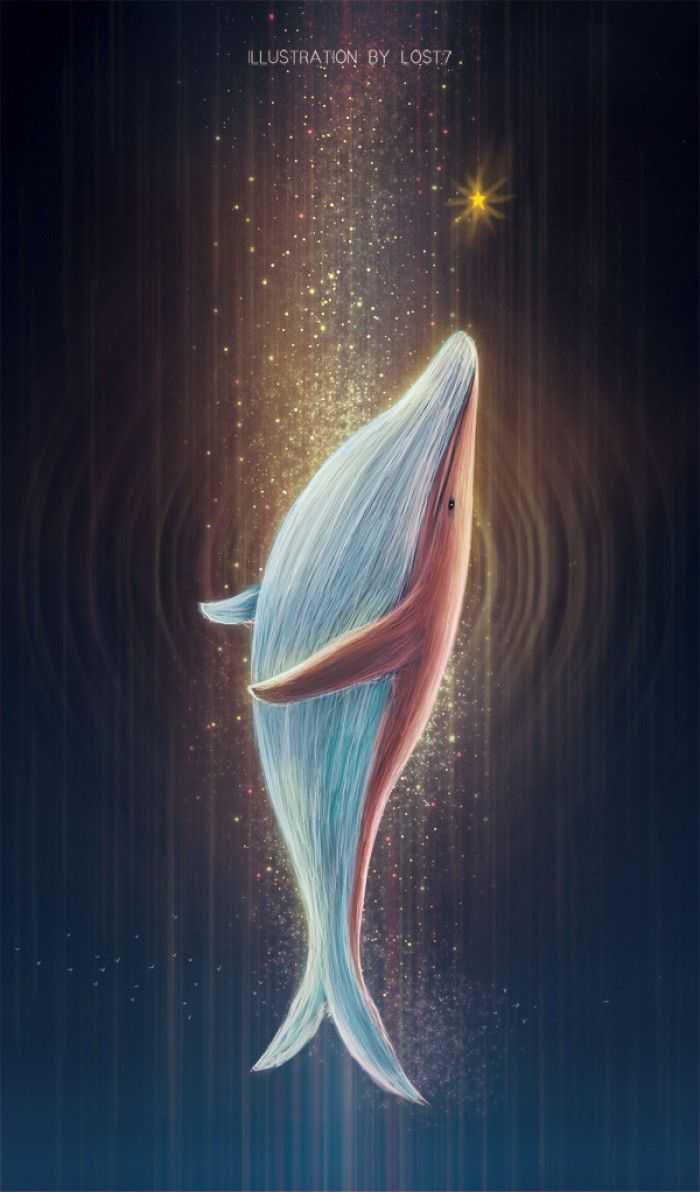 有没有关于鲸鱼的壁纸呢 很喜欢 一直找不到好看的?