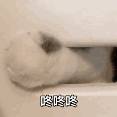 有哪些可爱的动物表情包?