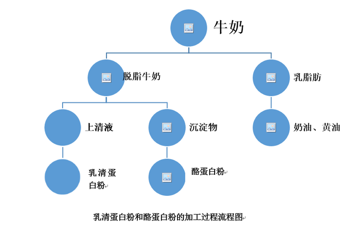 纯牛奶先被加工成乳脂肪和脱脂奶两部分,脱脂奶经过加工处理可以得到