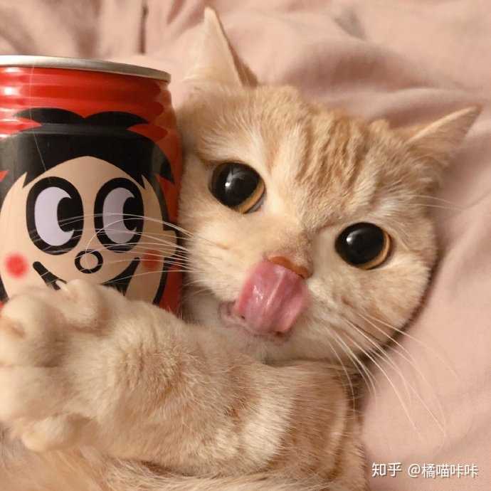 泡芙自动猫砂盆怎么样?