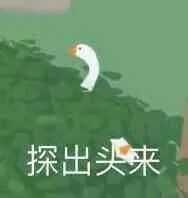 有没有《无题大鹅模拟》的表情包?