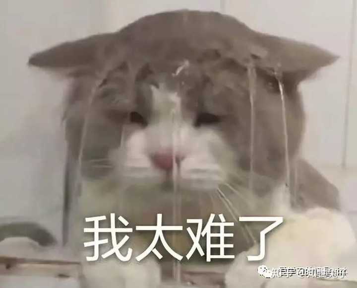 2020考研心态崩了怎么办?